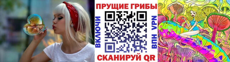 мега как зайти  Данков  Галлюциногенные грибы ЛСД 